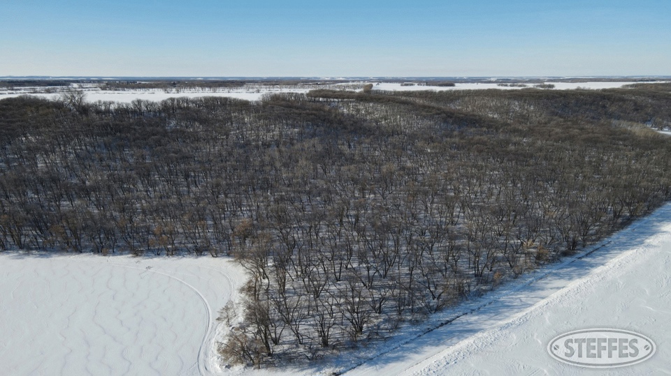 Pembina County, ND Recreational Land Auction 124± Acres Steffes